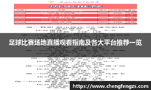 足球比赛场地直播观看指南及各大平台推荐一览